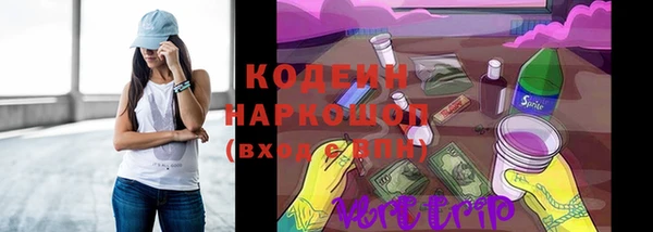 стаф Инта