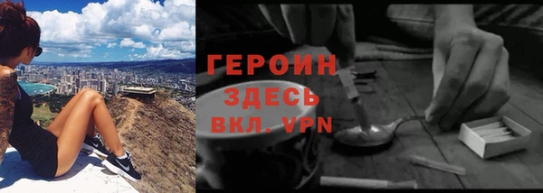 стаф Инта