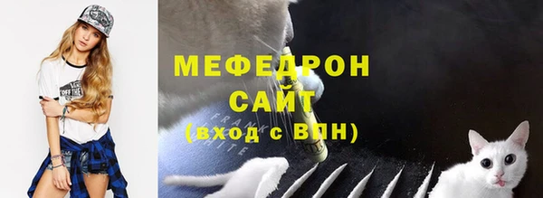 крисы Каменка