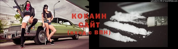 стаф Инта