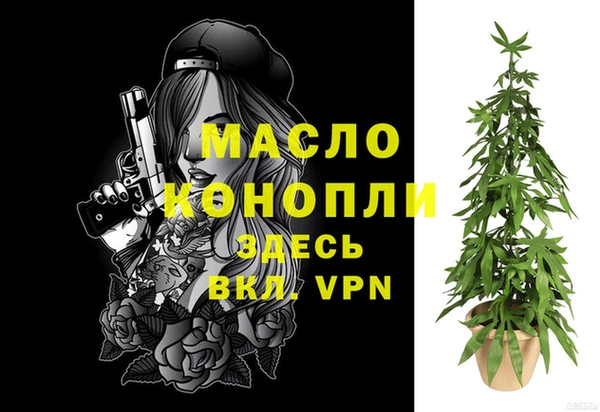 стаф Инта