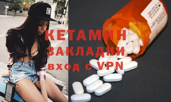стаф Инта