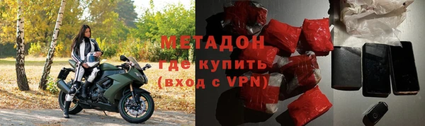 стаф Инта