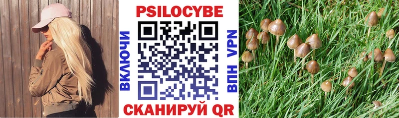 Галлюциногенные грибы GOLDEN TEACHER  Купить  Заволжск 